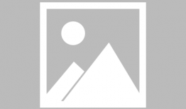 凹凸分类视频,视频中的智慧解析与应用