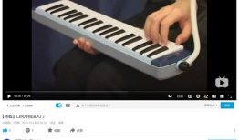 口风琴入门教学视频,跟随口风琴教学视频开启音乐之旅